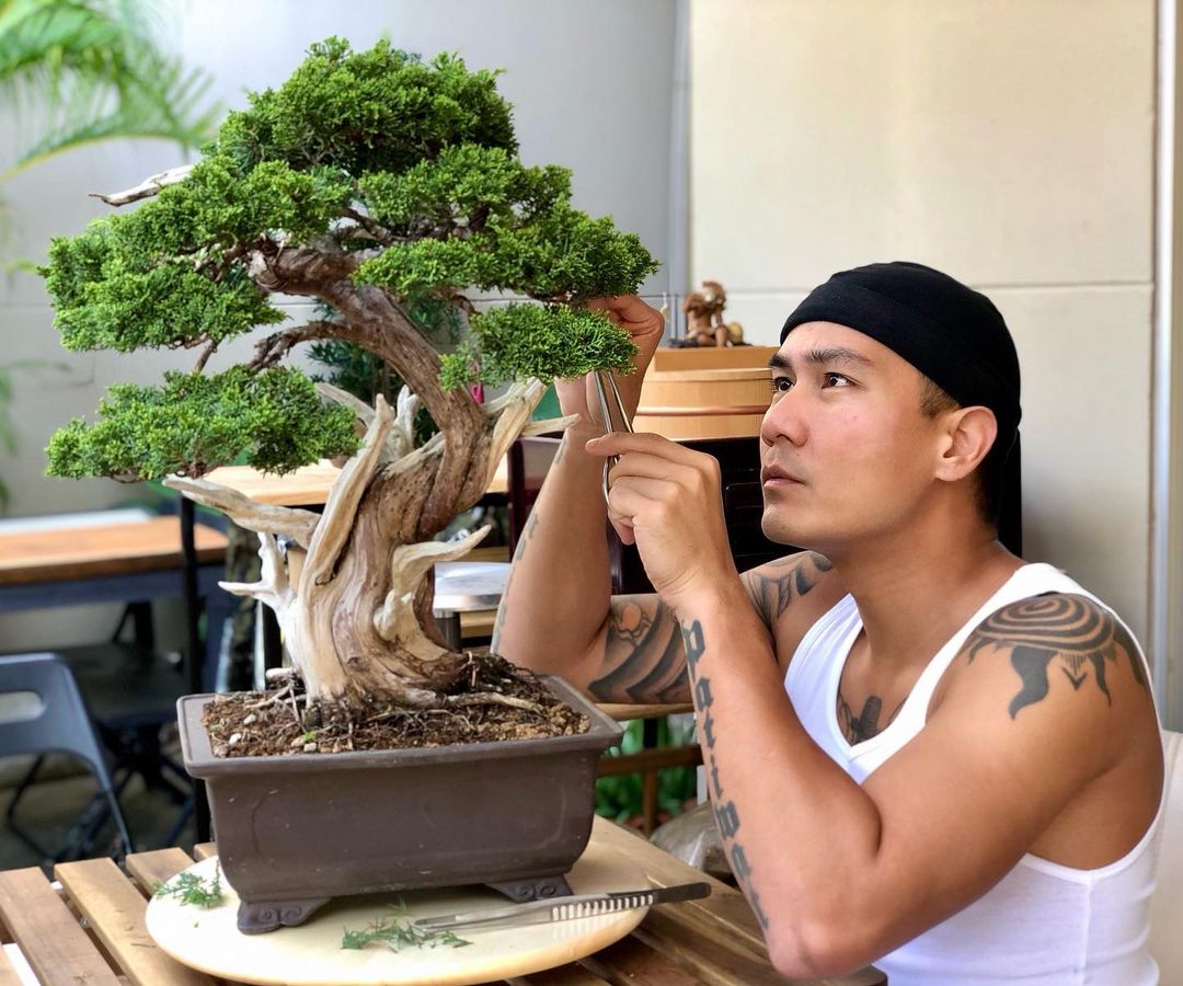 แบงค์ วงแคลช กำลังตัดแต่งกิ่งบอนไซ